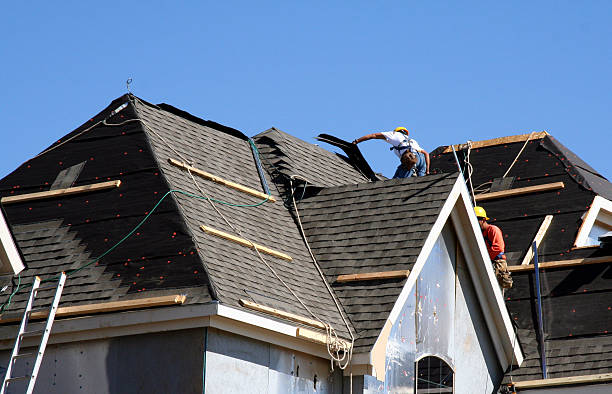 Best Roof Gutter Cleaning  in Monte Vista, CO