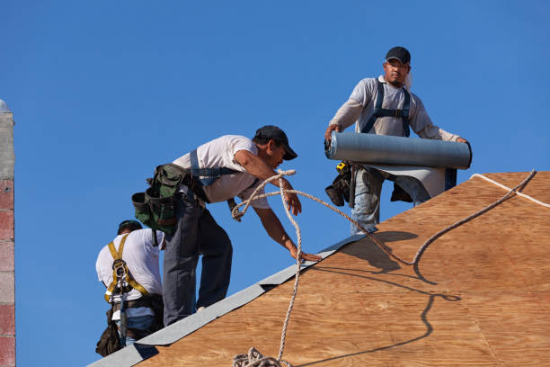 Best Flat Roof Repair Services  in Monte Vista, CO