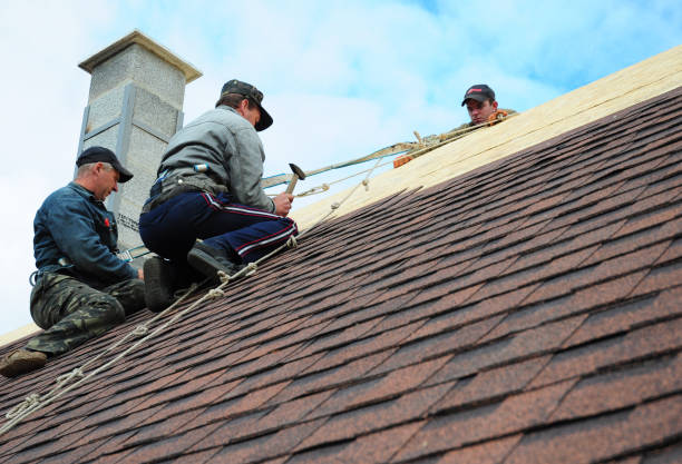 Best Tile Roofing Contractor  in Monte Vista, CO